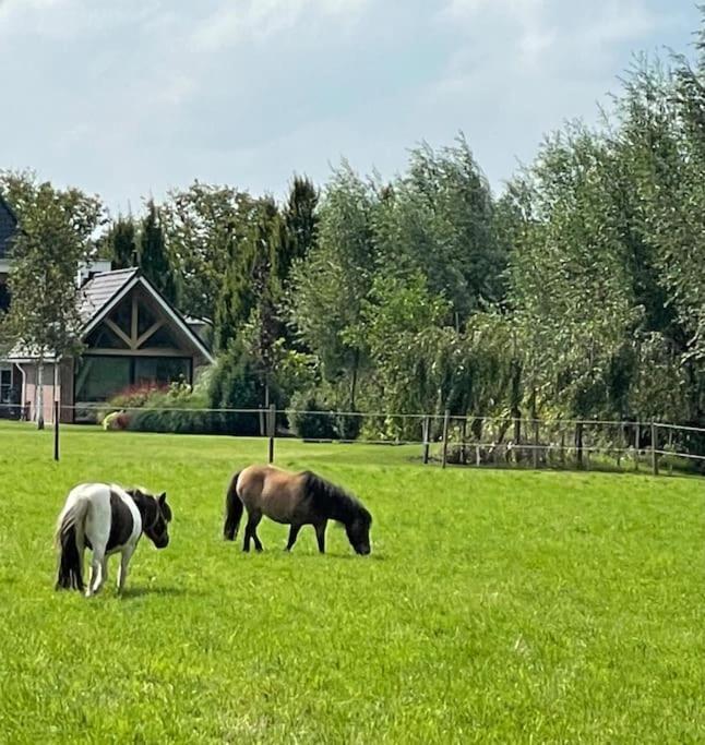 -Nieuw- Luxe & Sfeervol Vakantiehuis Tholen Exterior photo